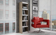 Load image into Gallery viewer, Accentuations by Manhattan Comfort Valuable Parana Bookcase 2.0 with 5 Shelves - Modish Store
