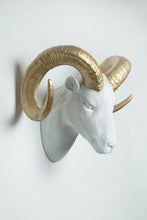 Load image into Gallery viewer, Interior Illusions Plus Goat Head Taxidermy White/Gold - 20&quot; wide