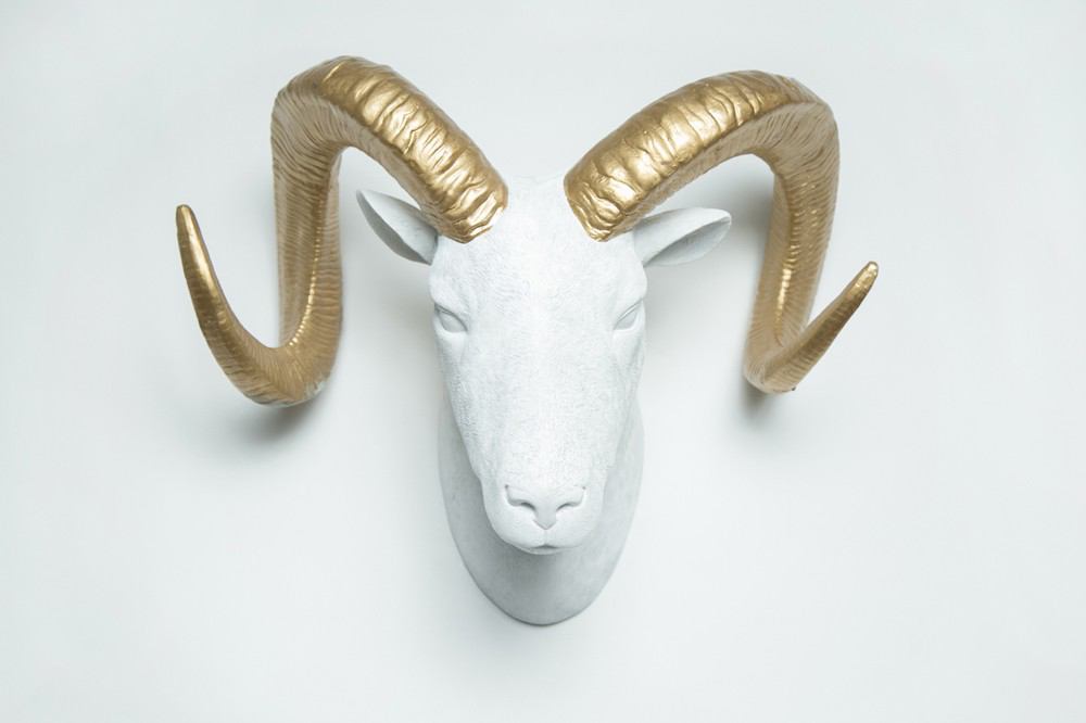 Interior Illusions Plus Goat Head Taxidermy White/Gold - 20