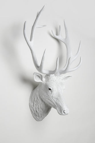 Interior Illusions Deer Head Taxidermy